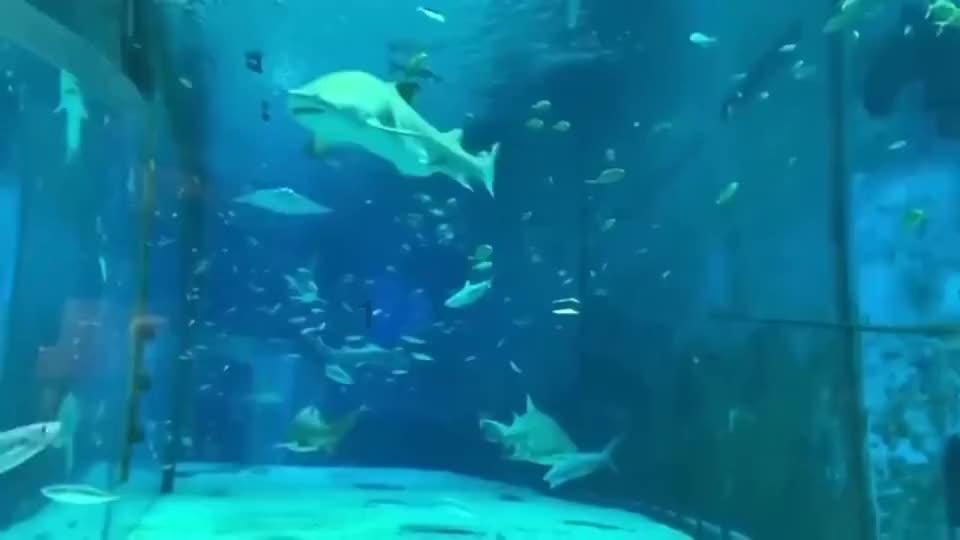 东平农商银行开展腊八节主题营销活动