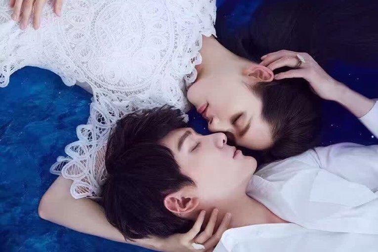 漂亮鹦鹉救援