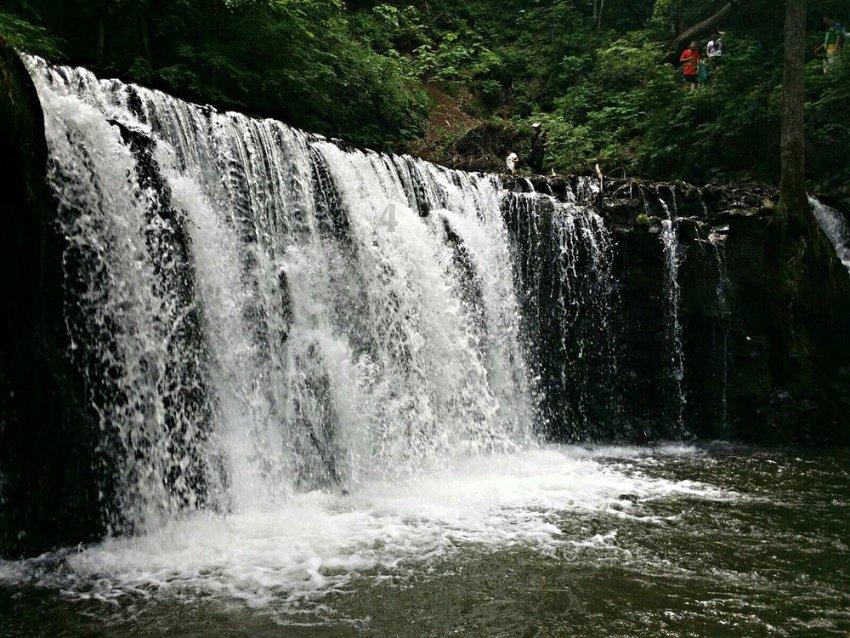 驱灵师